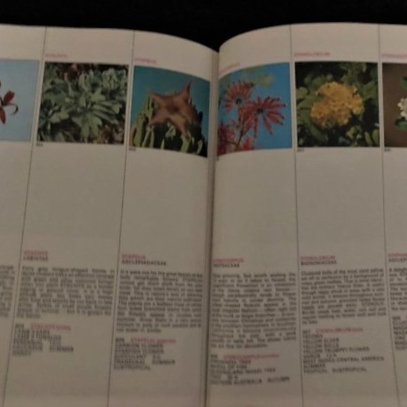 1971 What Flower is That? by Stirling Macoboy - Picture 6 of 8